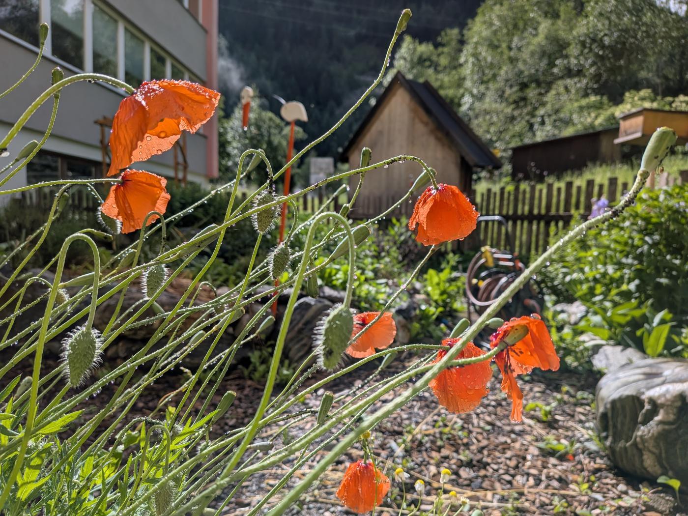 Kräutergarten_slide