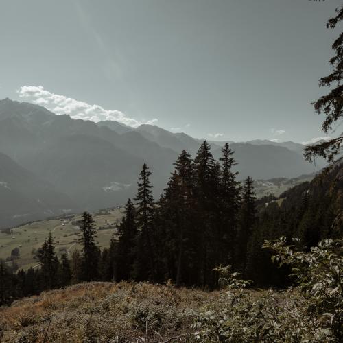 Wandertag 3c