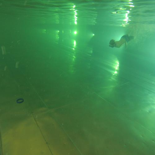 Schwimmwoche