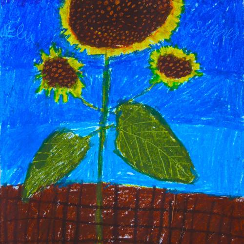 Sonnenblumen_03