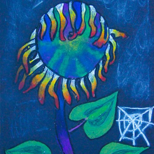 Sonnenblume_01