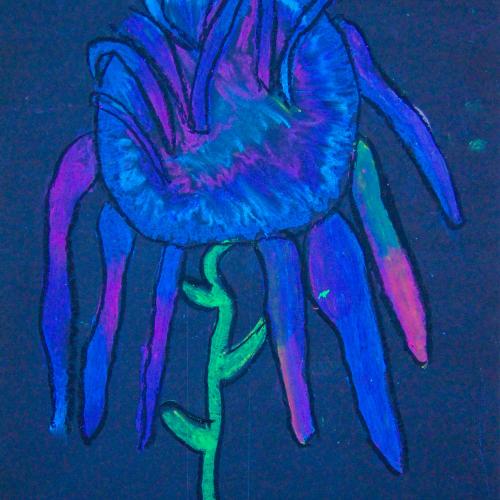 Sonnenblume_02