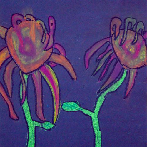 Sonnenblume_06
