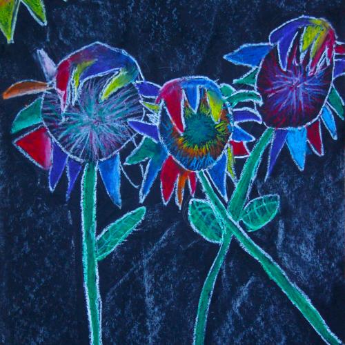 Sonnenblume_11