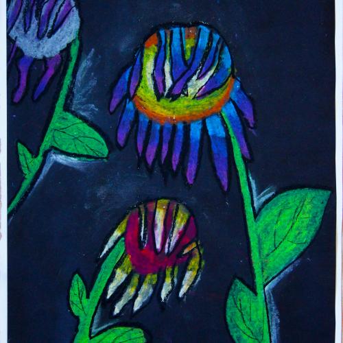 Sonnenblume_15