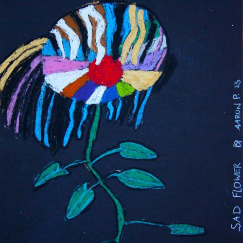 Sonnenblume_20