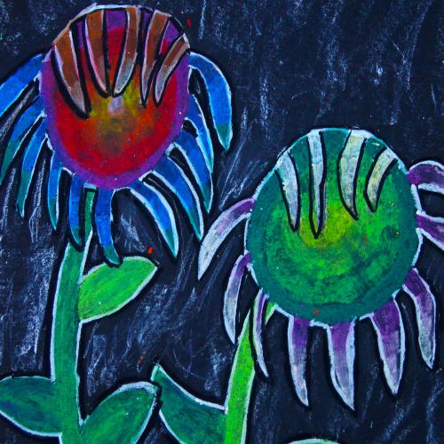 Sonnenblume_24