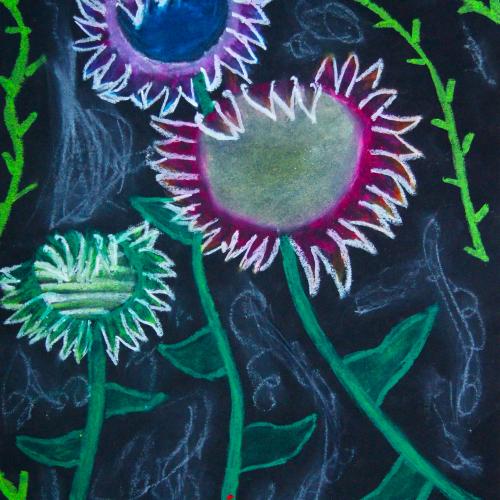 Sonnenblume_27