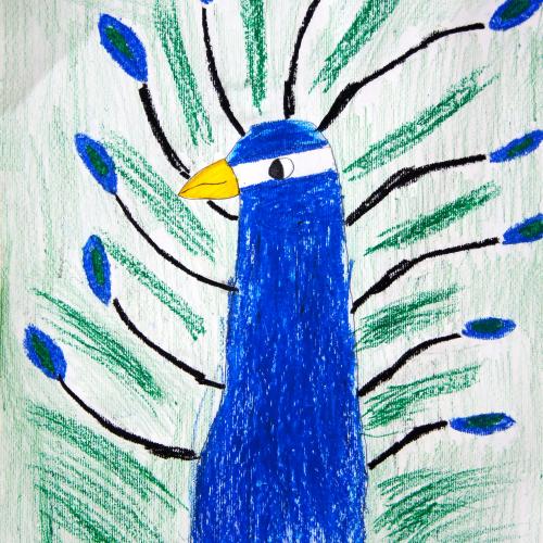 Pfau_03