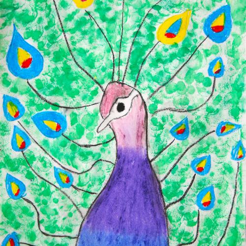 Pfau_04