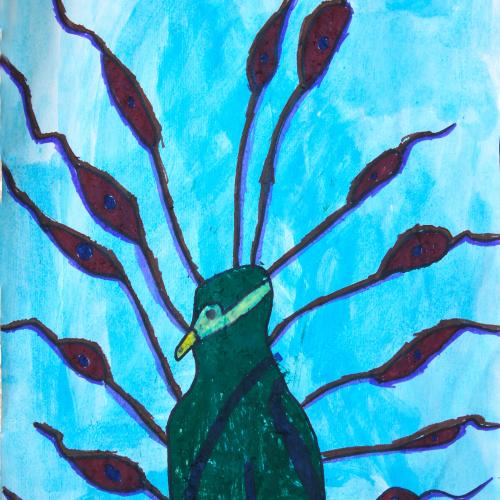 Pfau_05