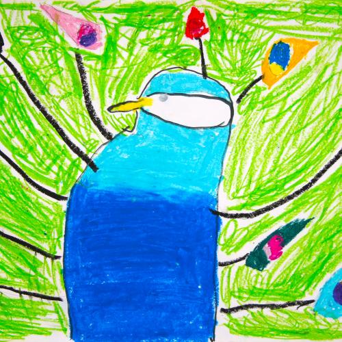 Pfau_05