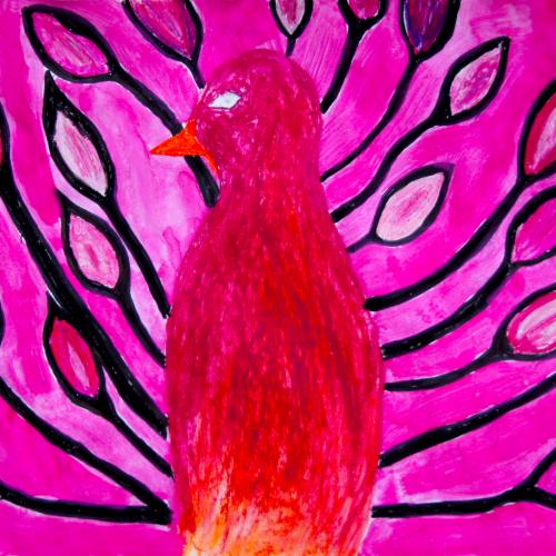 Pfau_08