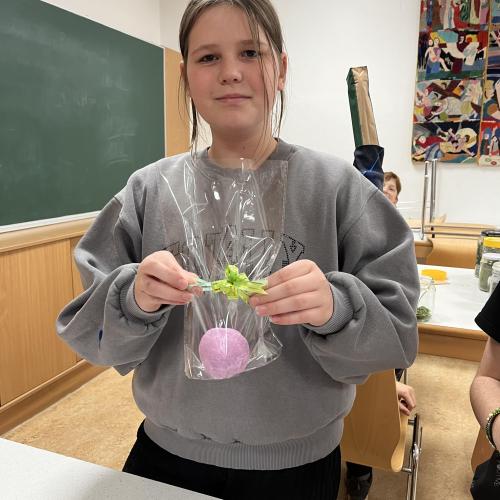 Fleiß7