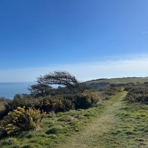 England 25 Beachy Head 8