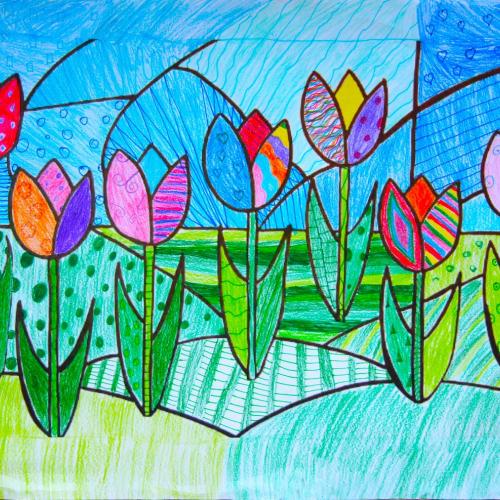 Tulpen_01
