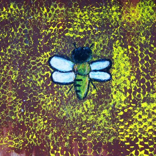 Bienen_04