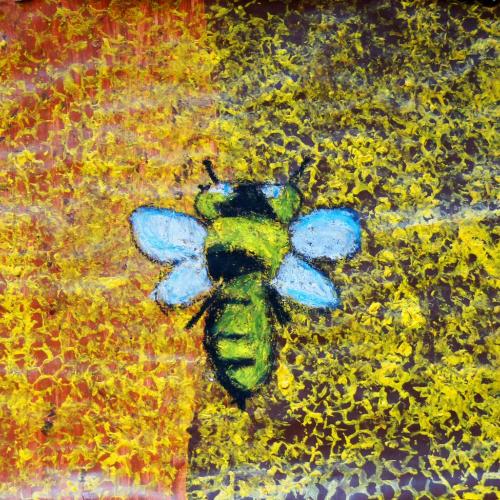Bienen_06