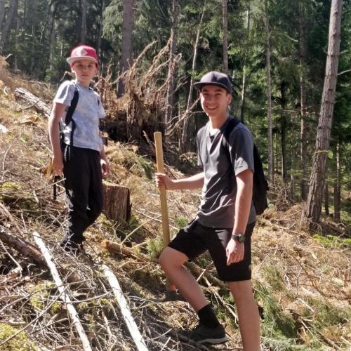 Klimafitter Wald
