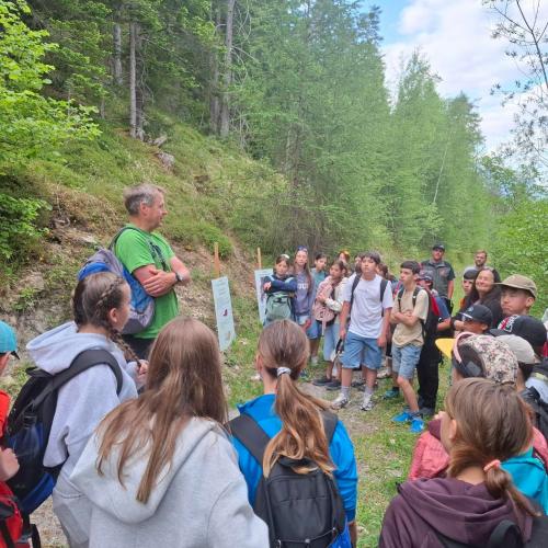 Klimafitter Wald