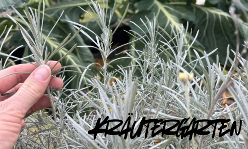 Kräutergarten