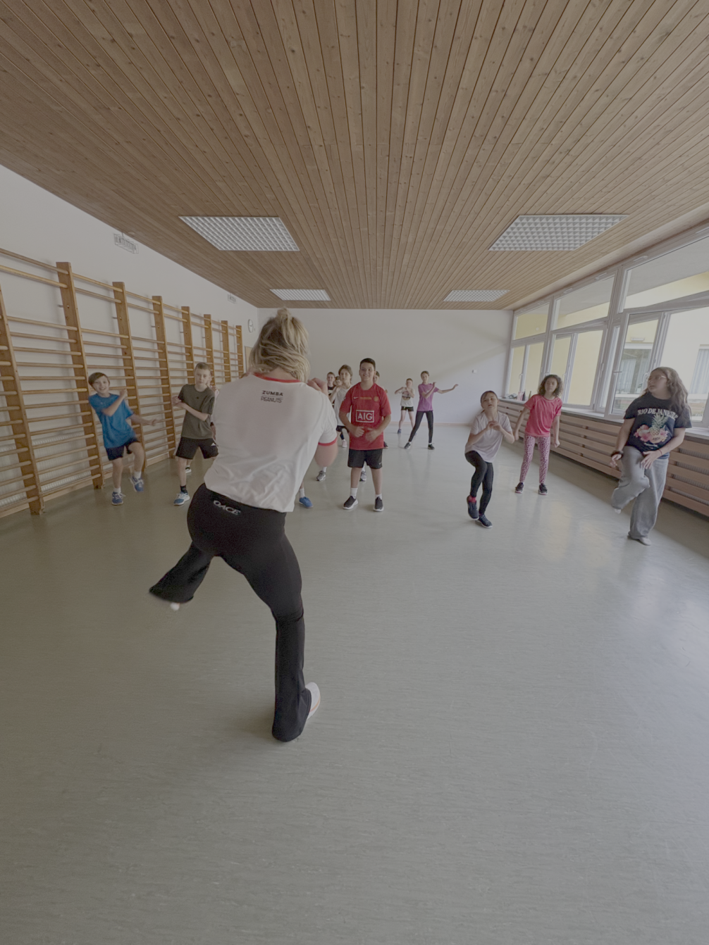 Zumba-Stunde 1c