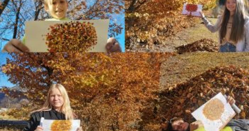 Herbstbäume